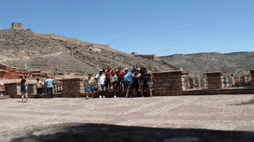 iebsegorbe mirador GIF