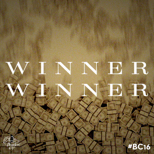Breeders Cup GIF by CTPBoston