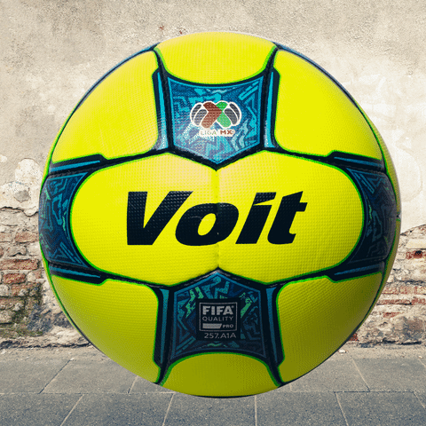 voit  GIF