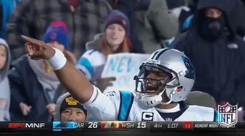 Image result for cam newton gif