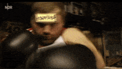 100.gif?cid=20e14a2az7c49kdhk4rsexm25egkp41ojsbmwcuvxd4i2vj9&rid=100.gif