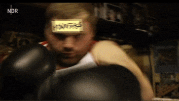 fight monday GIF by NDR