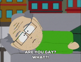Gay GIF by South Park