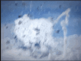sustainabull  GIF