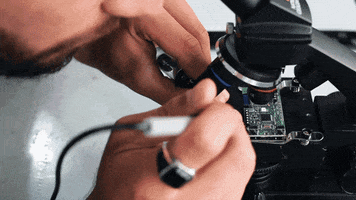 manueloccorso  GIF