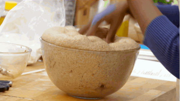 Great British Baking Show GIF by PBS - Find & Share on GIPHY