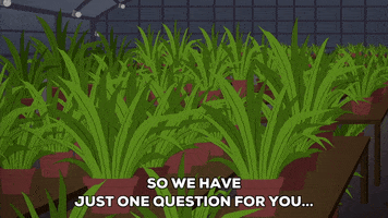 green house plants GIF by South Park 