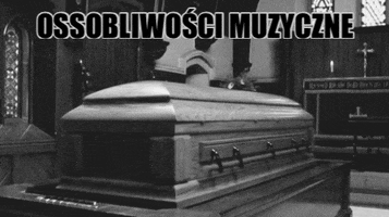 andrzejswietek  GIF