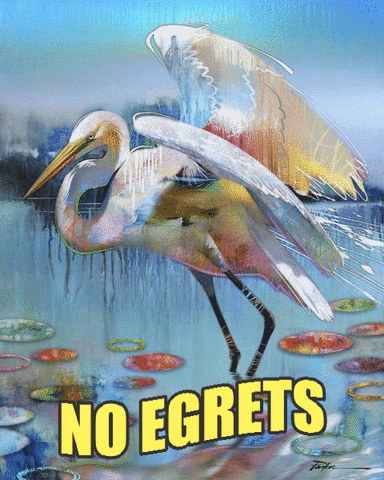 no egrets