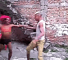 damncake  GIF