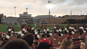 siena  GIF