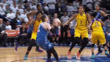 los angeles sparks basketball GIF by WNBA
