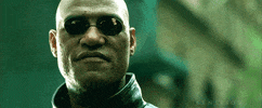 dalmoalf the matrix morpheus GIF