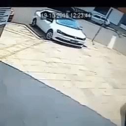 lira  GIF