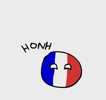 polandball  GIF