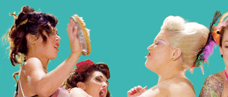 Cat Fight Pie In Face GIF by smackaysmith