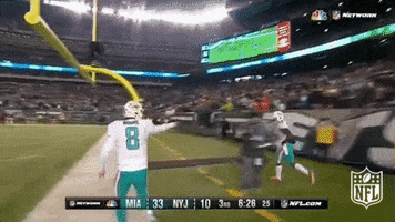 Jarvis Landry Football GIF by NFL