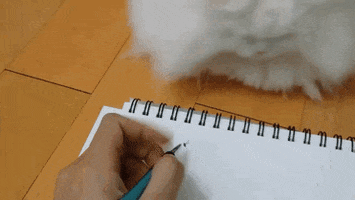 damncake  GIF