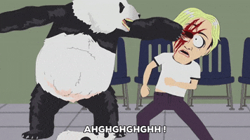 man panda GIF by South Park 