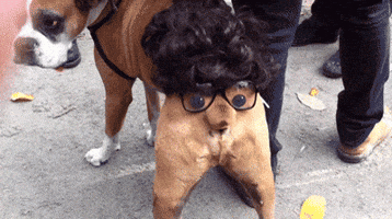 barbaraloh halloween GIF