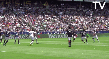 200.gif?cid=fc005b08e6fe24276be9da61f312c917ce47efc0c7dfdbeb&rid=200.gif&ct=g