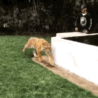 GIF by Demic