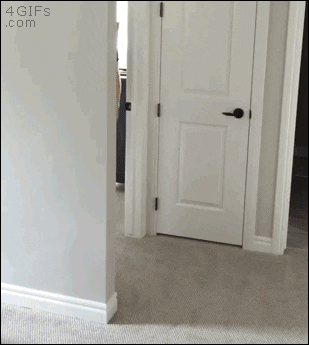 andrzejswietek  GIF