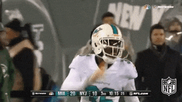 Celebrate Miami Dolphins GIF by NFL