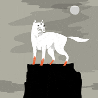 wolf GIF by nikki desautelle