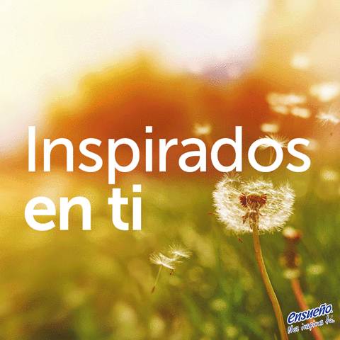 ensuenomexico ensueÃ±o GIF