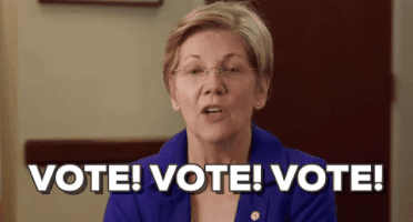 Voting Elizabeth Warren GIF