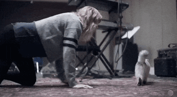 behind the scenes cat chasing GIF by Taylor Swift