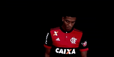 berrio GIF by Flamengo