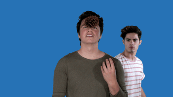 fiym GIF by Forever In Your Mind