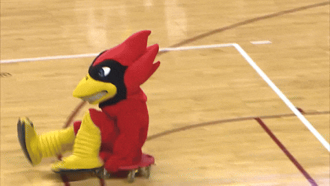 giphy.gif