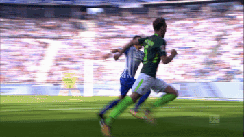 bundesliga tackle GIF by Hertha BSC