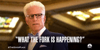 Season 2 Wtf GIF by The Good Place