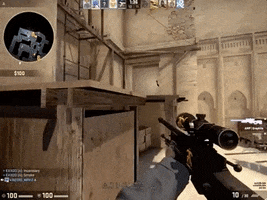 csgo GIF by Plays.tv