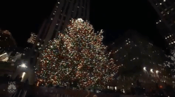 christmas tree GIF by NBC