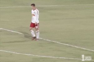 Playoffs Penaltykicks GIF by NYRB II