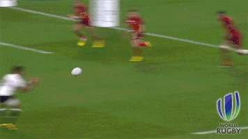 rugby world cup try GIF by World Rugby