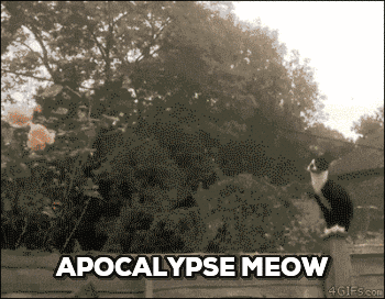 apocalypse meow