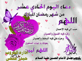 haidar  GIF
