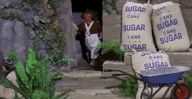 willy wonka and the chocolate factory oompa loompas GIF