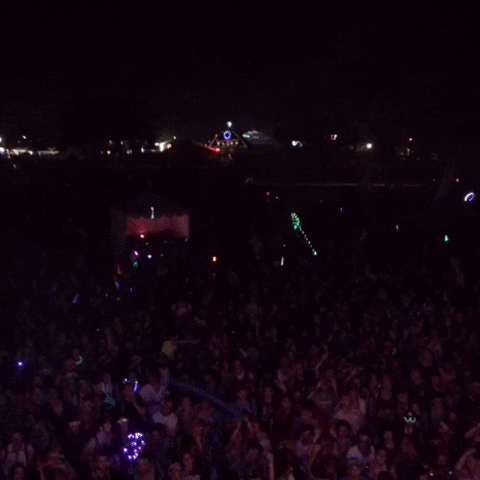GIF by Bonnaroo Music and Arts Festival