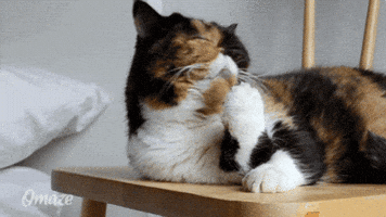 200.gif