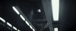 burnsydelight  GIF