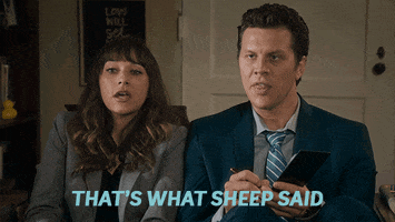 the office tbs GIF by Angie Tribeca
