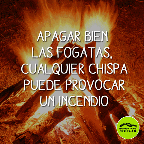 rubenhrodriguez  GIF