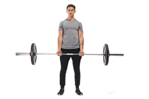 theadg  GIF